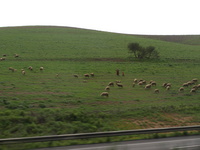 left click for larger picture